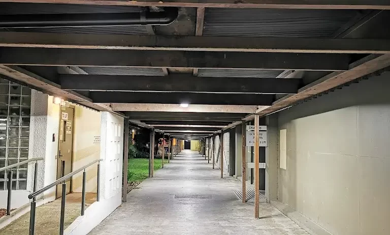 Ccel Christchurch College Of English Christchurch 3 1 768x462