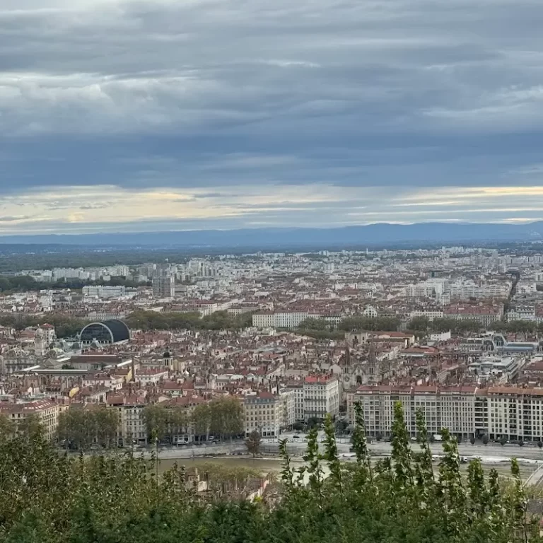 France Langue Lyon 2 1 768x768