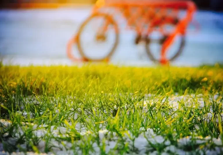 Victoria High School Program Victoria 3 1 768x534