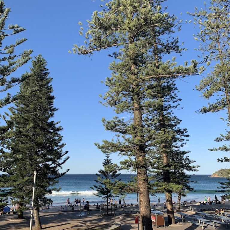 Lexis English Sydney 2 768x768