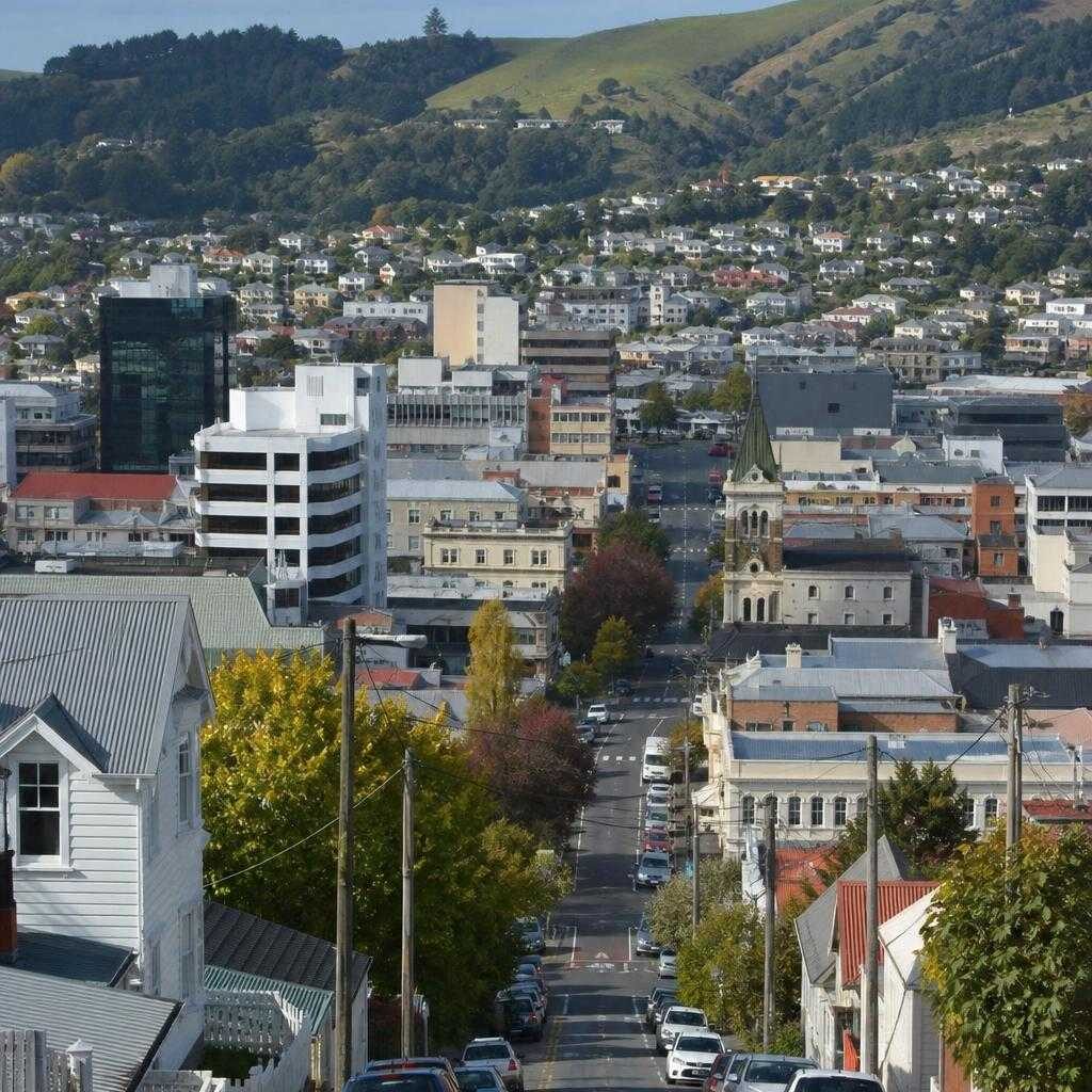 costo de vida Dunedin illustration